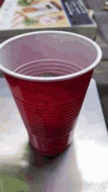 red cup gucci hat gif|red cup meme.